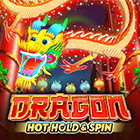 Dragon Hot Hold & Spin